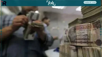 خدمة مميزة.. تكافل وكرامة 2025 تعزز الأمان والسرعة بالاستعلام بالرقم القومي